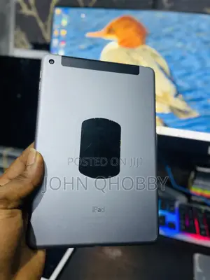 Apple iPad mini 4 64 GB Gray