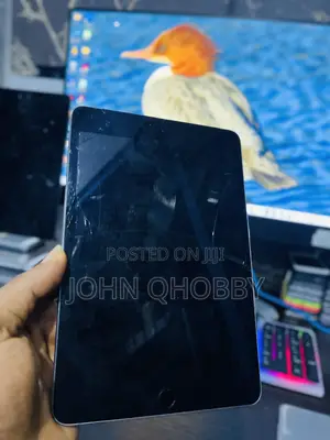 Apple iPad mini 4 64 GB Gray