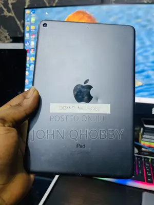 Apple iPad mini 5 64 GB Gray