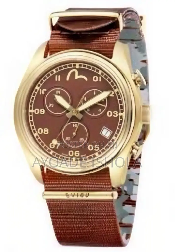 Evisu Ev-7003-03 Hiro Mens Designer Watch
