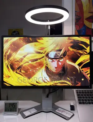 Dell Gaming and Professional Monitor