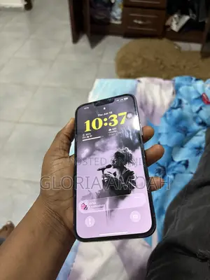 Apple iPhone 13 Pro Max 256 GB Blue