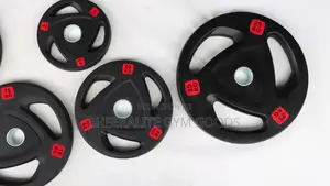 Olympic Weight/Load 100kg Set