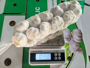 Garlic Fresh Wholesale and Retail,