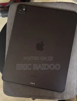 Apple iPad Pro 13 (2024) 256 GB Gray