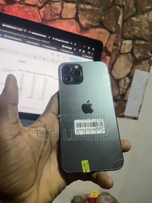 Apple iPhone 12 Pro Max 256 GB Gray