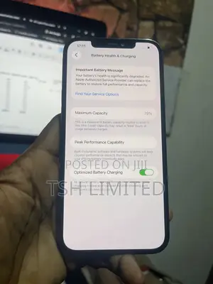 Apple iPhone 12 Pro Max 256 GB Gray