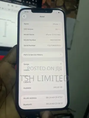 Apple iPhone 12 Pro Max 256 GB Gray