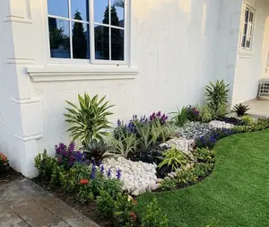 Affordable Professional Landscaping and Gardening Services.