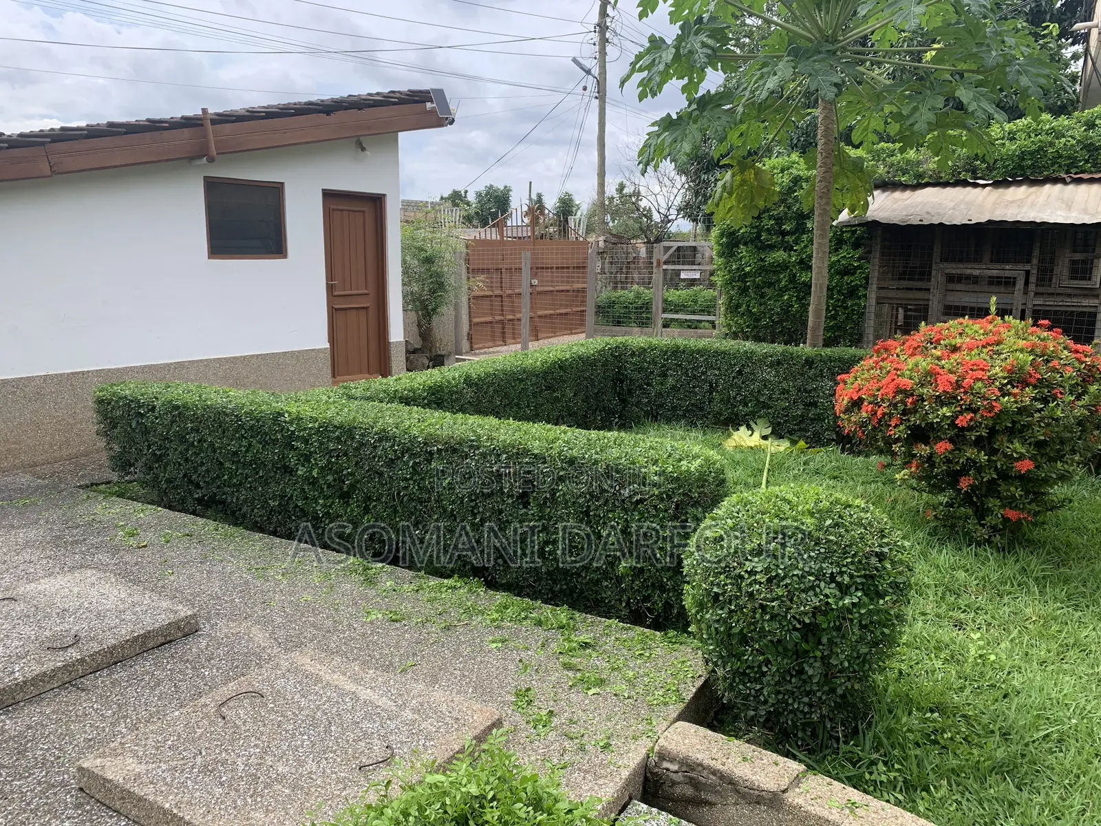 Affordable Professional Landscaping and Gardening Services.