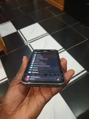 Apple iPhone 15 Pro Max 256 GB Silver