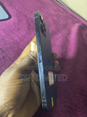 Apple iPhone 12 Pro Max 256 GB Blue