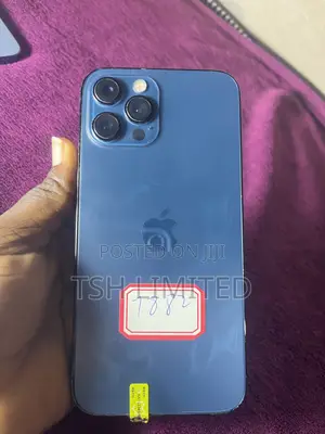 Apple iPhone 12 Pro Max 256 GB Blue