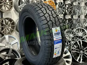 Brand New Rough Tire