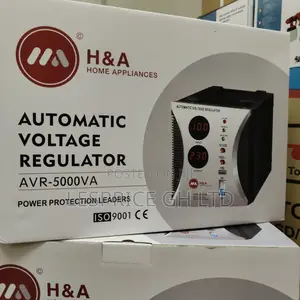Great Performance Yet Affordable 5000w Avr From H A