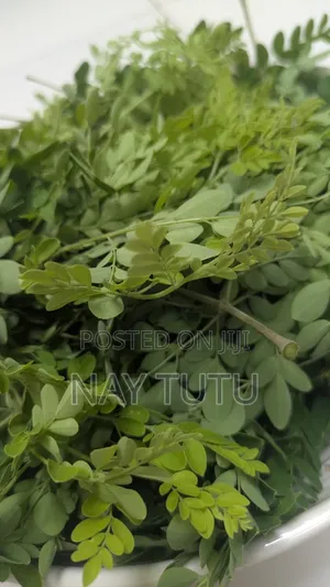 Fresh Moringa Leaves for Smoothies and Soup