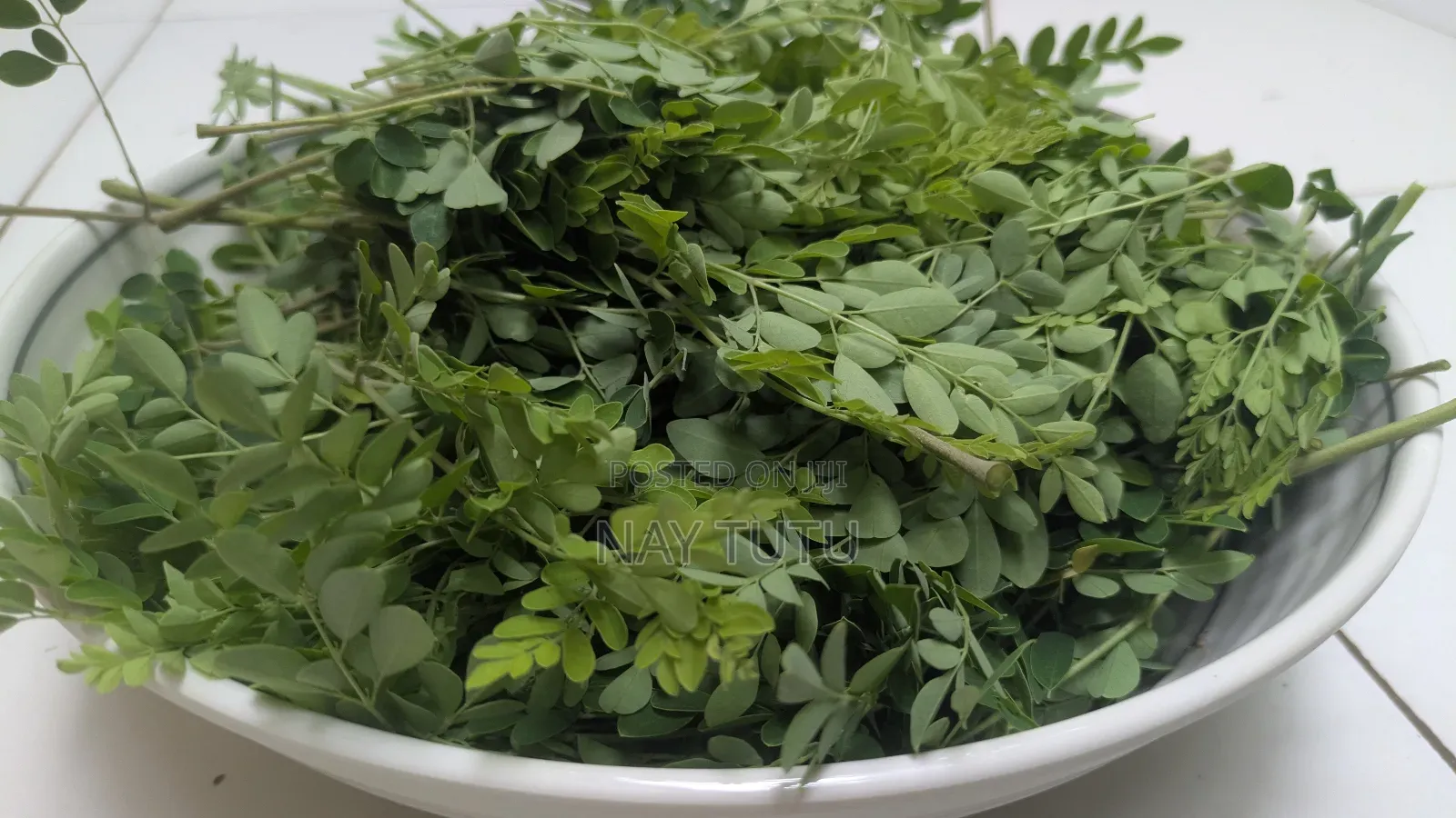 Fresh Moringa Leaves for Smoothies and Soup