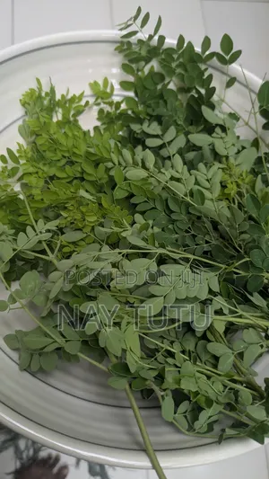 Fresh Moringa Leaves for Smoothies and Soup