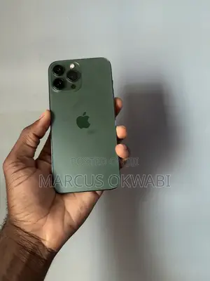 Apple iPhone 13 Pro Max 256 GB Green