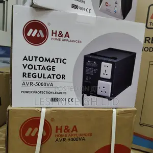 Save Energy and Money While Using Our Solid 5000w H a Avr