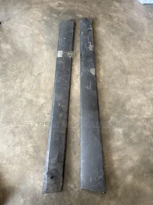 Acura RDX Door Moulding 2019-2024