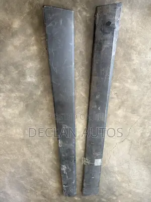 Acura RDX Door Moulding 2019-2024