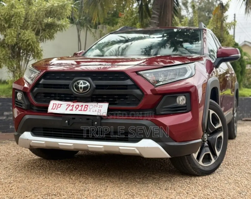 Toyota RAV4 Adventure 2019 Burgundy