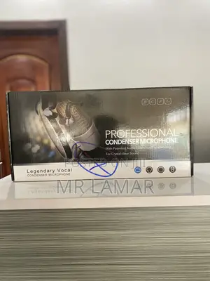 Professional Microphone Condenser