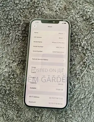 Apple iPhone 12 Pro Max 256 GB Blue