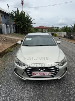 Hyundai Elantra Limited Sedan FWD (2.0L 4cyl 6A) 2017 Gray