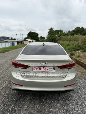 Hyundai Elantra Limited Sedan FWD (2.0L 4cyl 6A) 2017 Gray