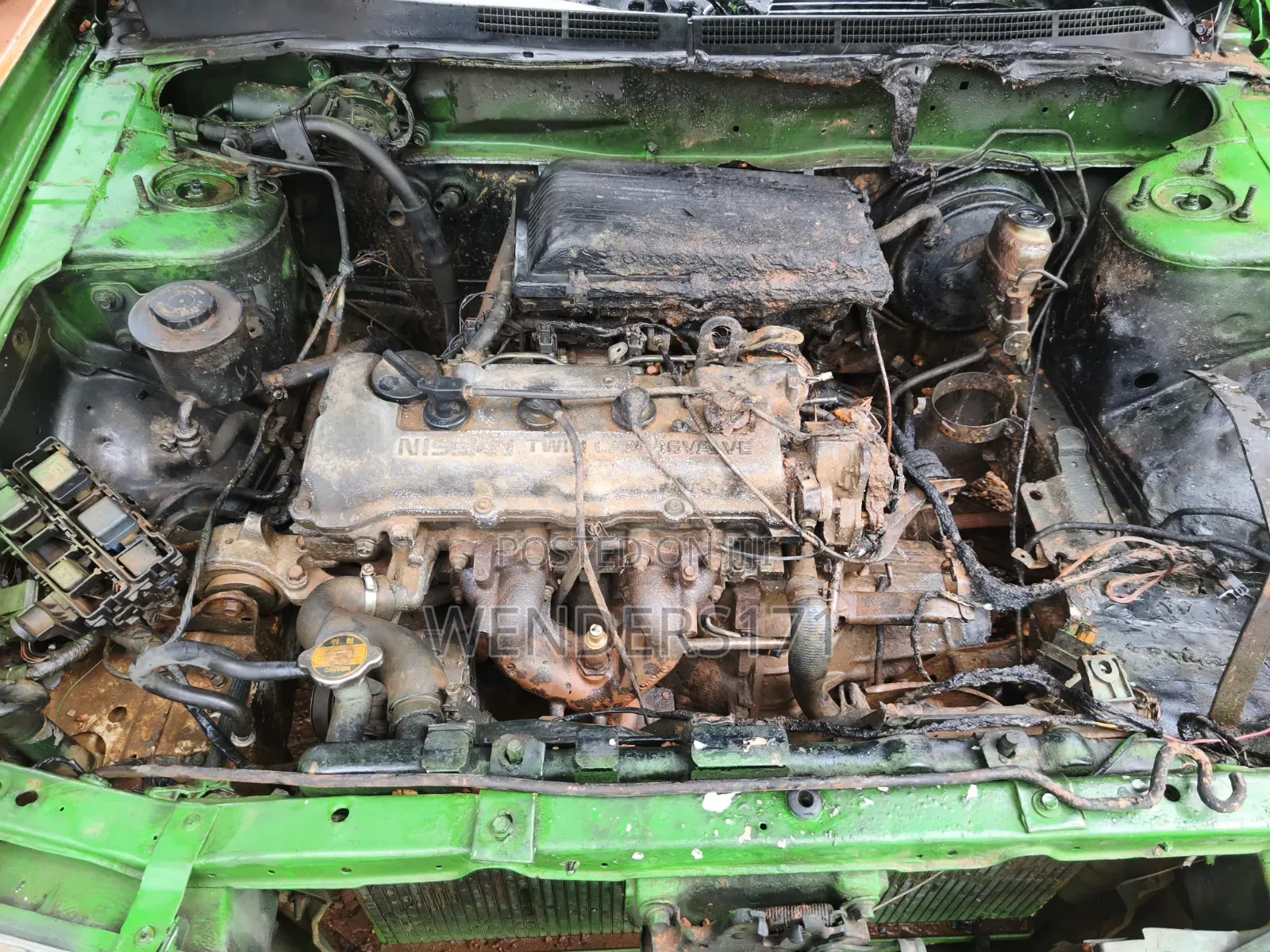 Nissan Almera 2000 Green