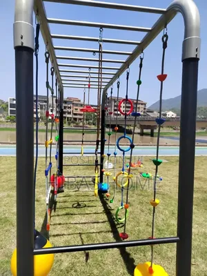 Commercial Style Agility Swing Monkey Bar Outdoor Playground Climbing