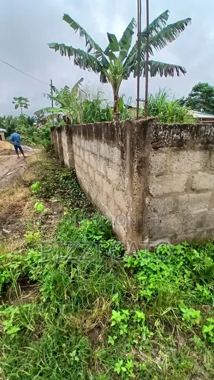 Land With Single Room