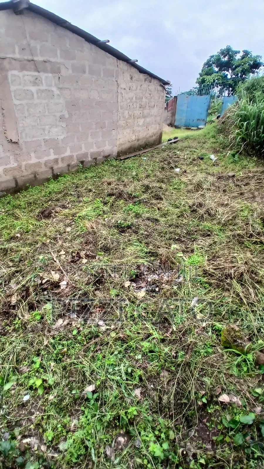 Land With Single Room