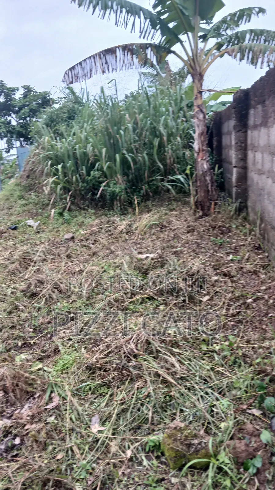 Land With Single Room