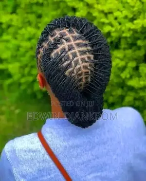Dreadlocks Twist and Style