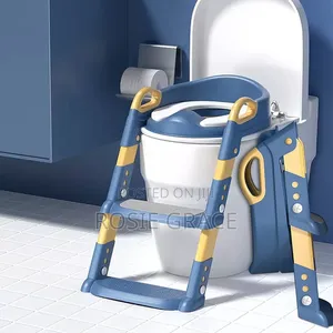 Potty Seat With Ladder