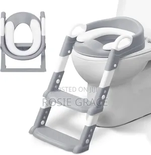 Potty Seat With Ladder