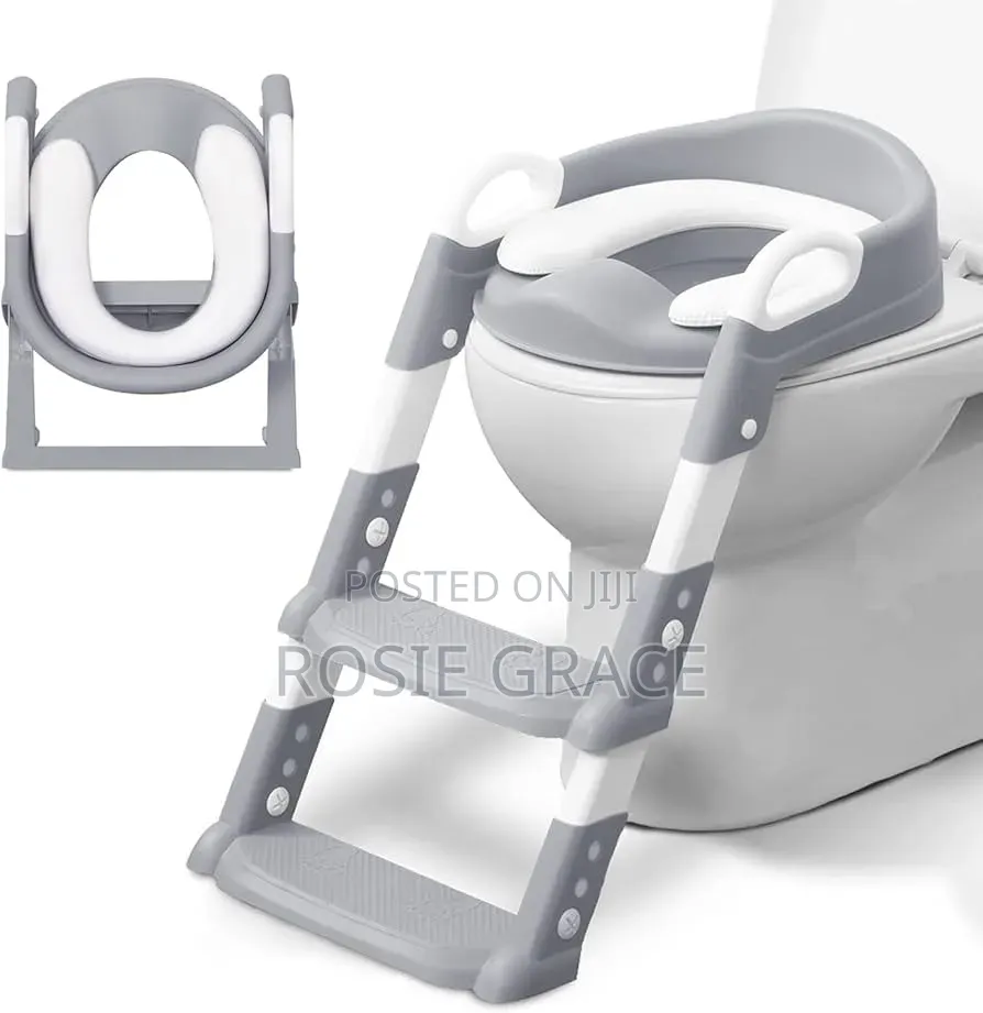 Potty Seat With Ladder