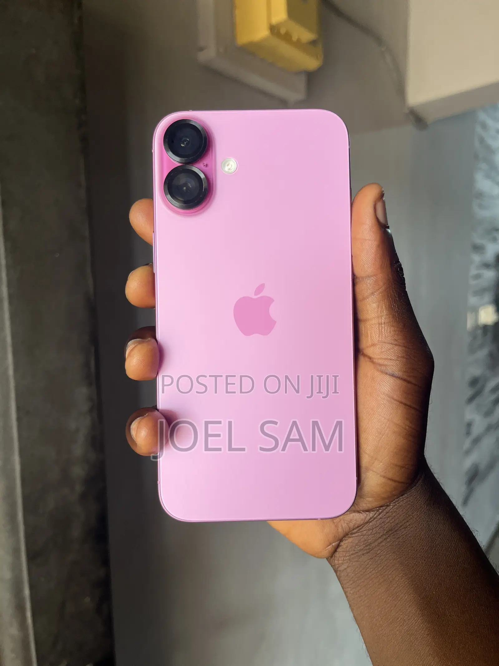 Apple iPhone 16 Plus 256 GB Pink