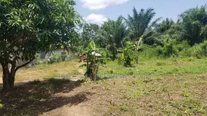Volta Region, Kpando (Fesi) _ 5 Plots Building Land