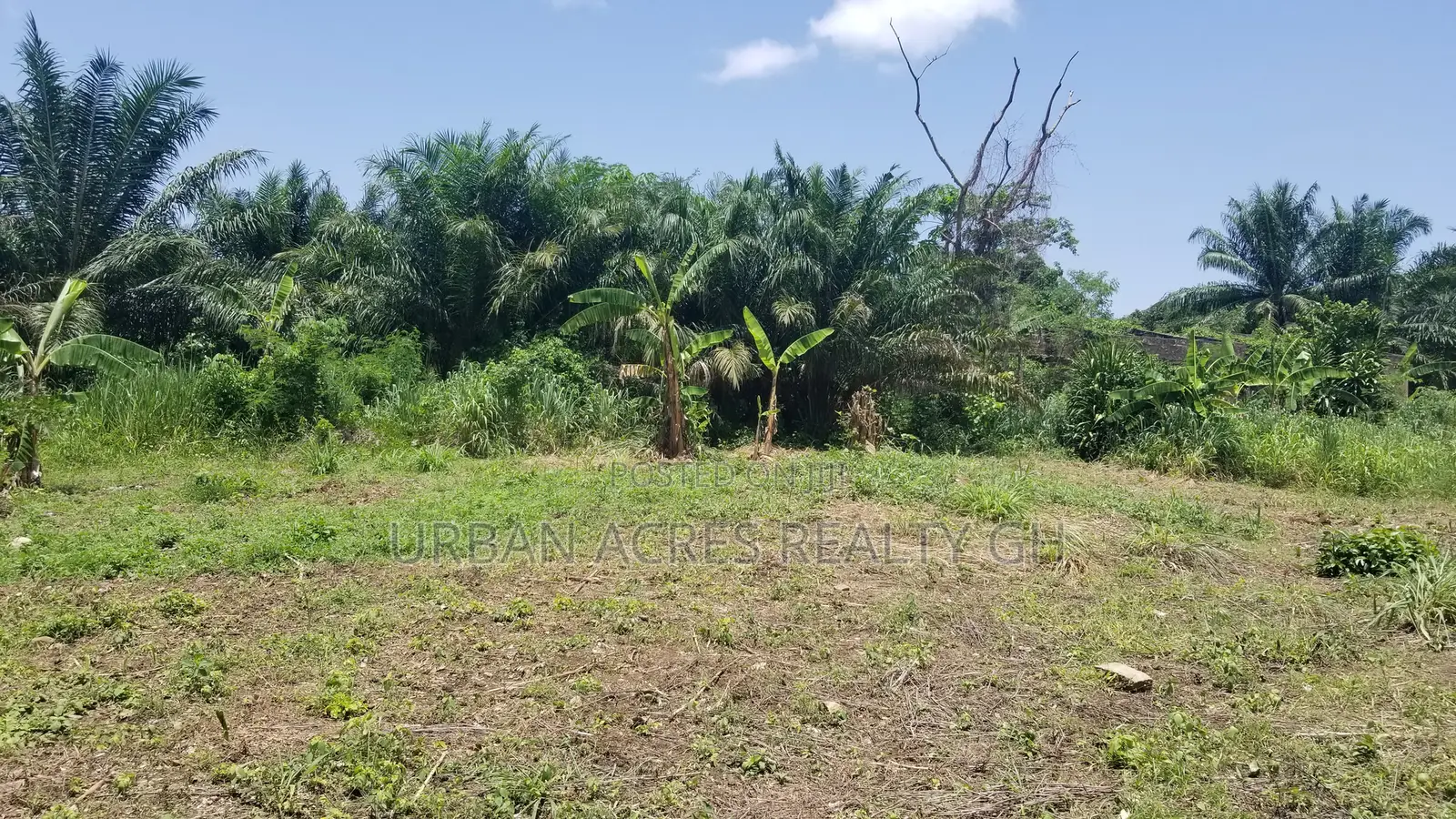 Volta Region, Kpando (Fesi) _ 5 Plots Building Land