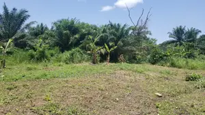 Volta Region, Kpando (Fesi) _ 5 Plots Building Land