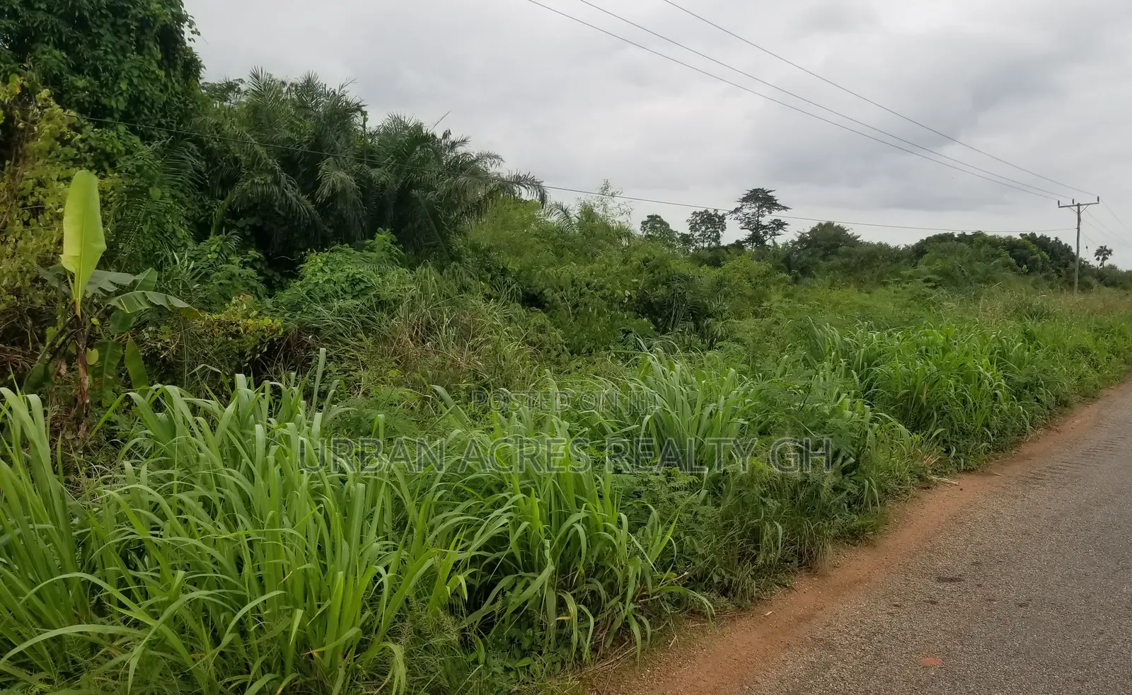 Volta Region, Kpando (Kpando - Gefi Road) _ 20 Plots Mixed Use Land
