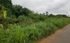 Volta Region, Kpando (Kpando - Gefi Road) _ 20 Plots Mixed Use Land