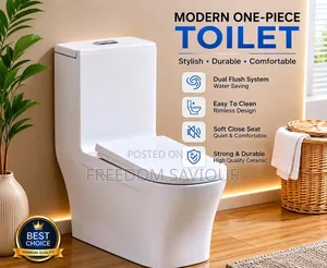 Modern One-piece Ceramic Toilet Bowl