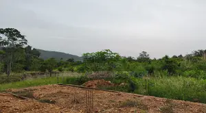 Volta Region, Peki (Dzake) _ Half Plot (50ft X 100ft) Land