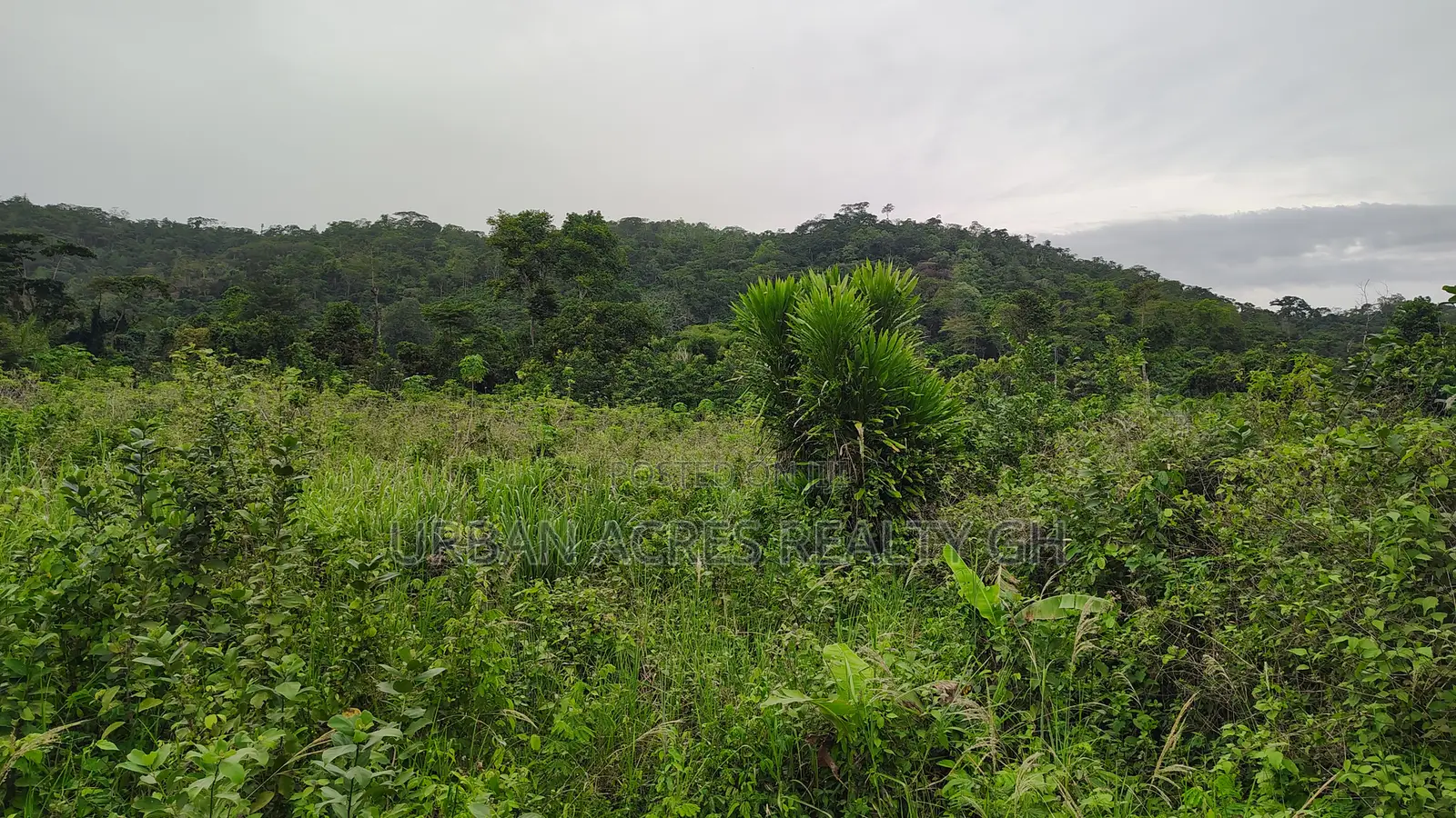 Volta Region, Peki (Dzake) _ Half Plot (50ft X 100ft) Land