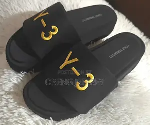 Original Y3 Slides in Colours